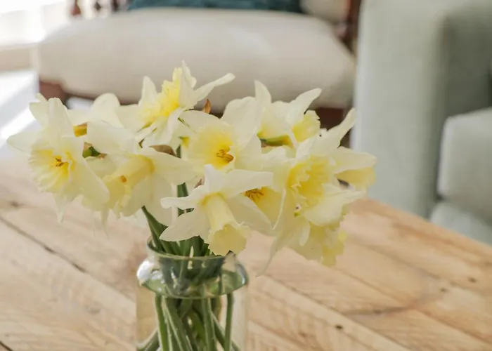 Shippon Сasa de vacaciones *